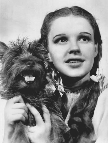 image of Dorothy Gale, Dorothy holding Toto, black and white photo of Dorothy and Toto